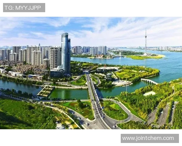 以健康生活为核心构建全方位的身心平衡策略提升生活质量和延长寿命